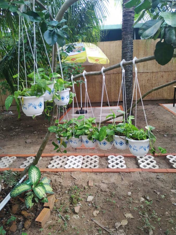 Mecong Homestay Ben Tre Kültér fotó